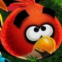 Angry Birds Punisher game on Video-Igrice.com