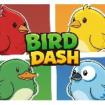 Bird Dash 3D game on Video-Igrice.com