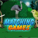 Birds Matching Games