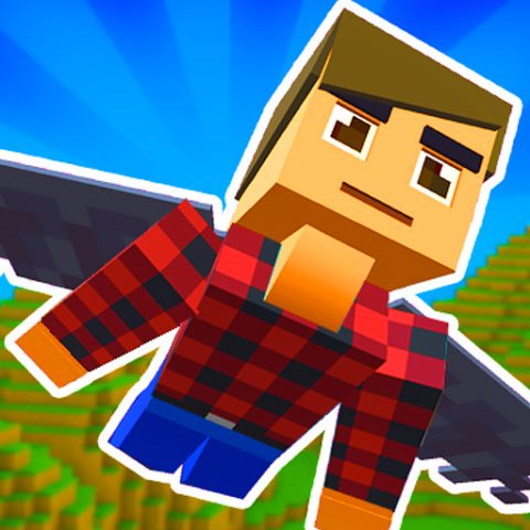 Elytra Flight game on Video-Igrice.com