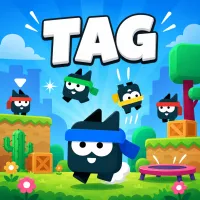 Tag game on Video-Igrice.com