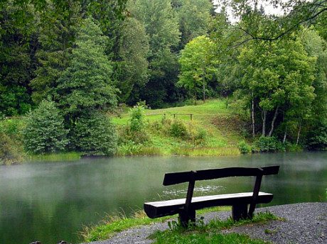 Forest Jigsaw Puzzle game on Video-Igrice.com