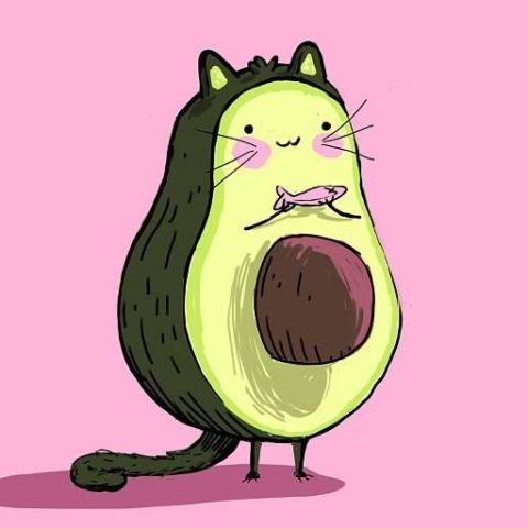 Avocado Puzzle Time game on Video-Igrice.com