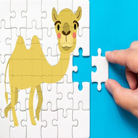 Bactrian camel Puzzle Challenge game on Video-Igrice.com
