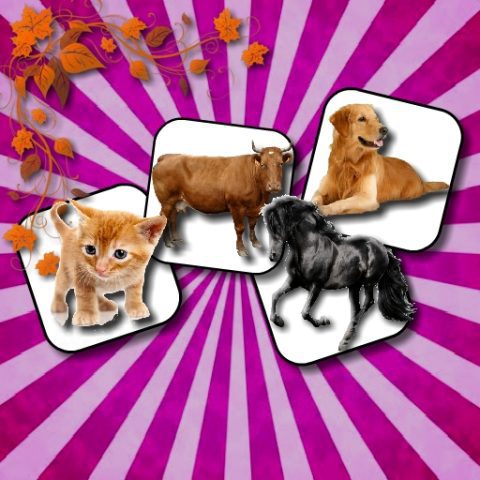 Domestic Animal Memory Challenge game on Video-Igrice.com