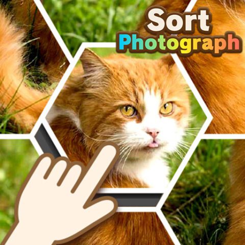 Sort Photograph game on Video-Igrice.com