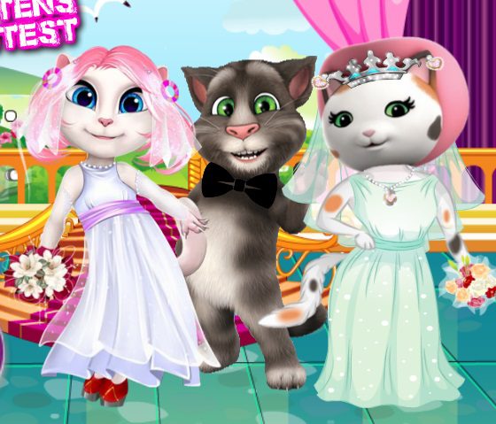 White Kittens Bride Contest game on Video-Igrice.com