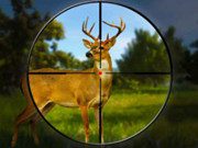 Hunter 3d game on Video-Igrice.com