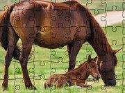Jigsaw Puzzle Domesticated Animals game on Video-Igrice.com